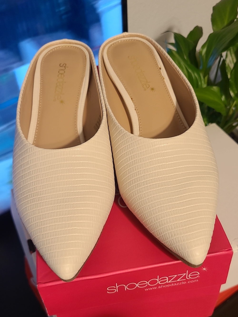 Shoe Dazzle Women's Cream Textured Pointed Mules